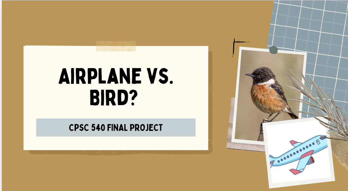 first slide of bird project presentation